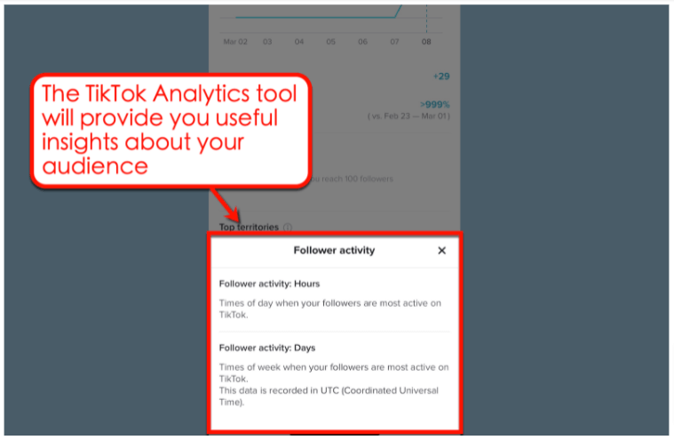 Screenshot of TikTok's Analytics Tool