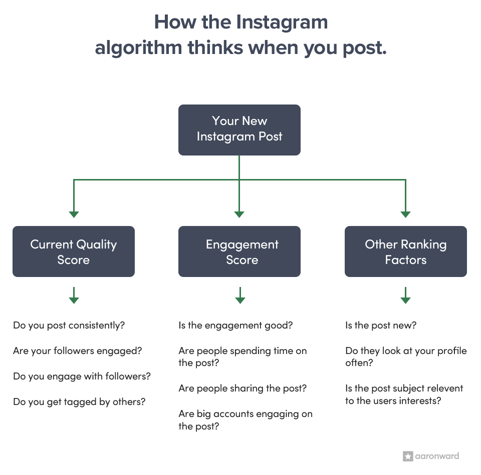 Instagram Algorithm Ranking Signals