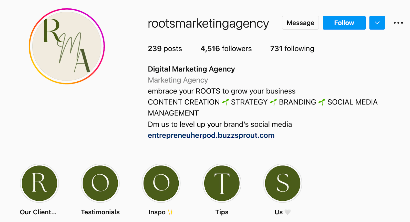 Screenshot of Roots Marketing Agency's Instagram