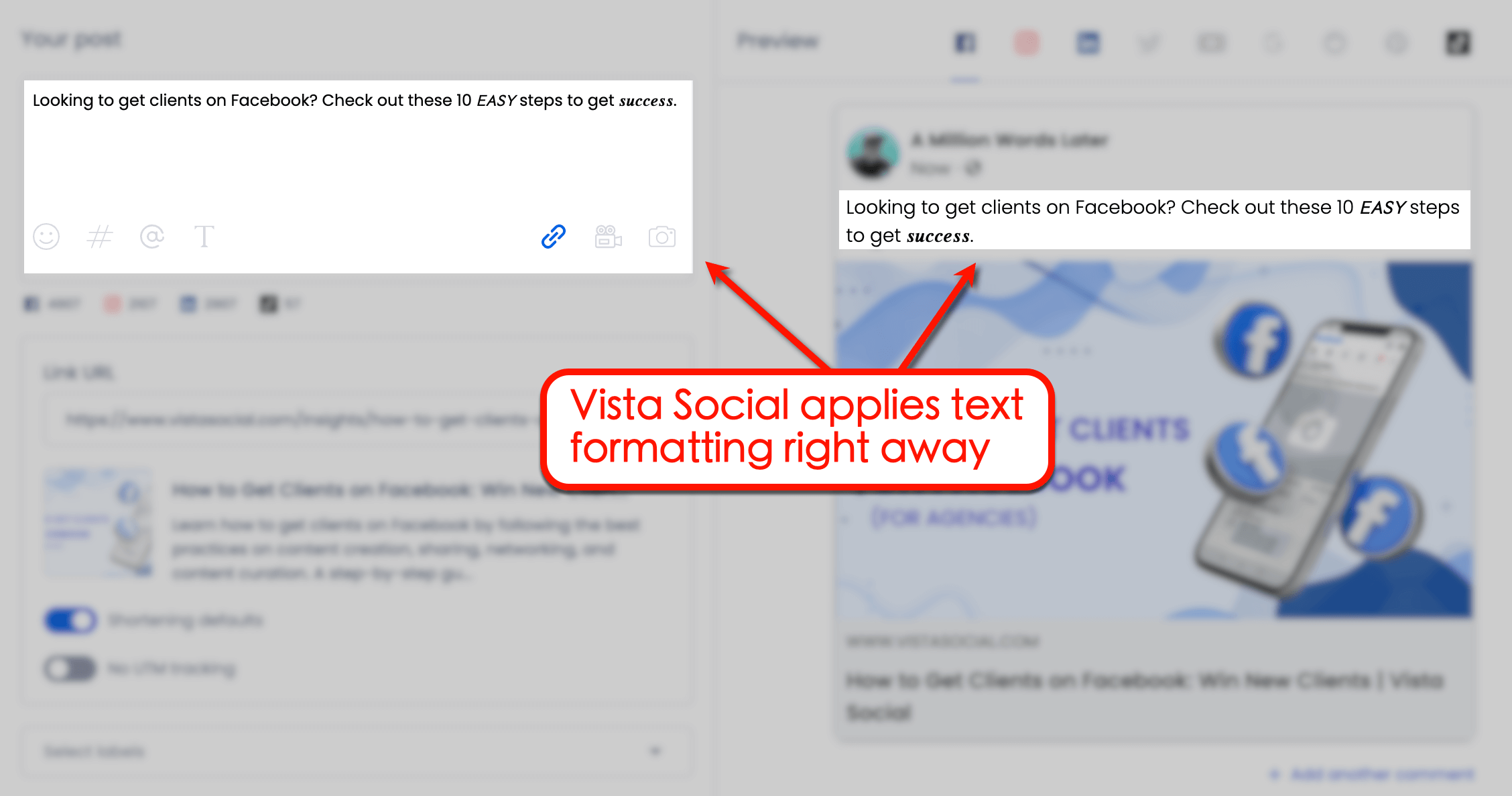 Screenshot of Vista Social's text format post preview