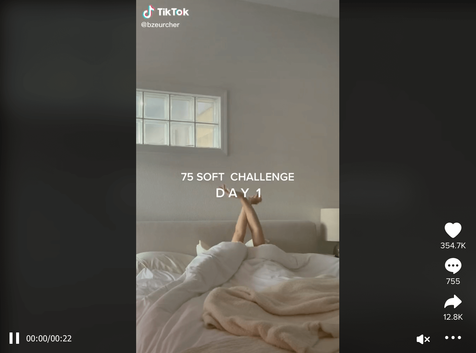 Screenshot of TikTok Challenge Ideas - 75 Soft challenge