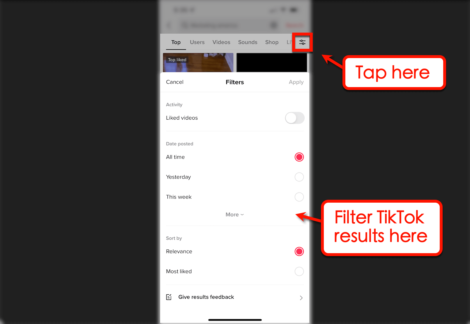 Screenshot of filtering results in TikTok