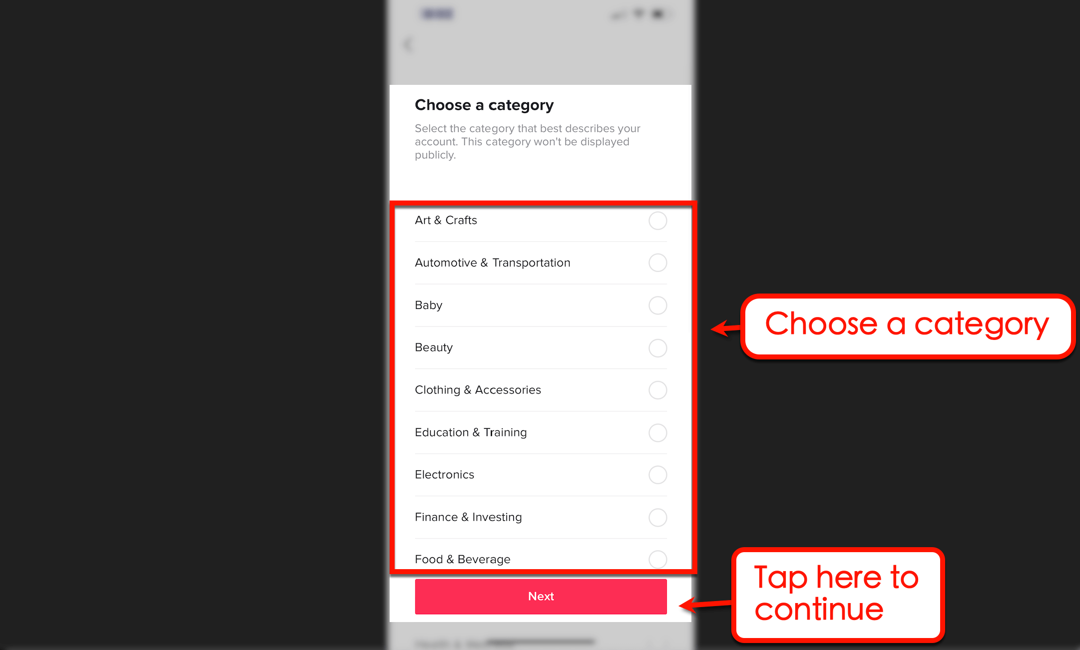 Screenshot of TikTok's categories