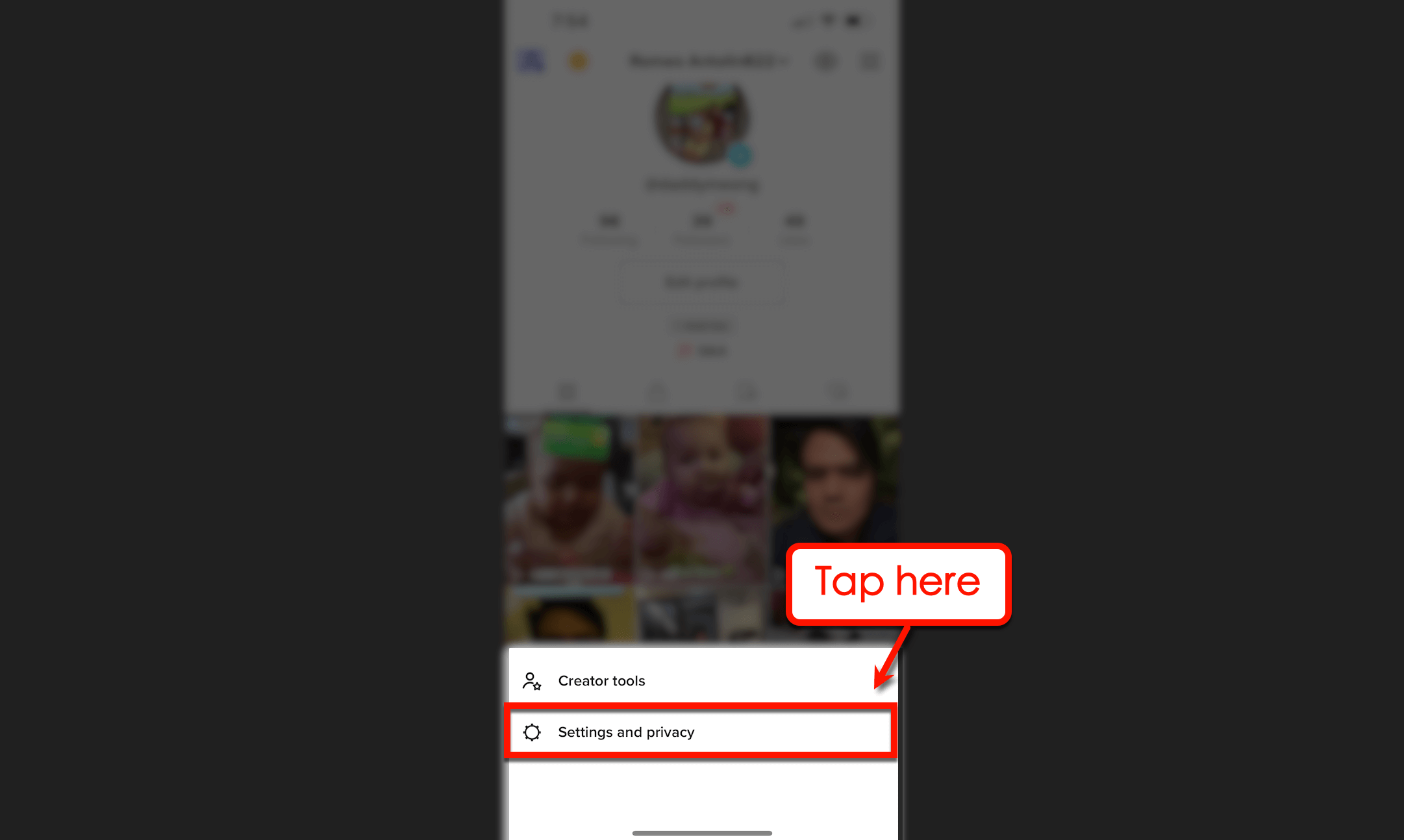 Screenshot of TikTok's settings & privacy