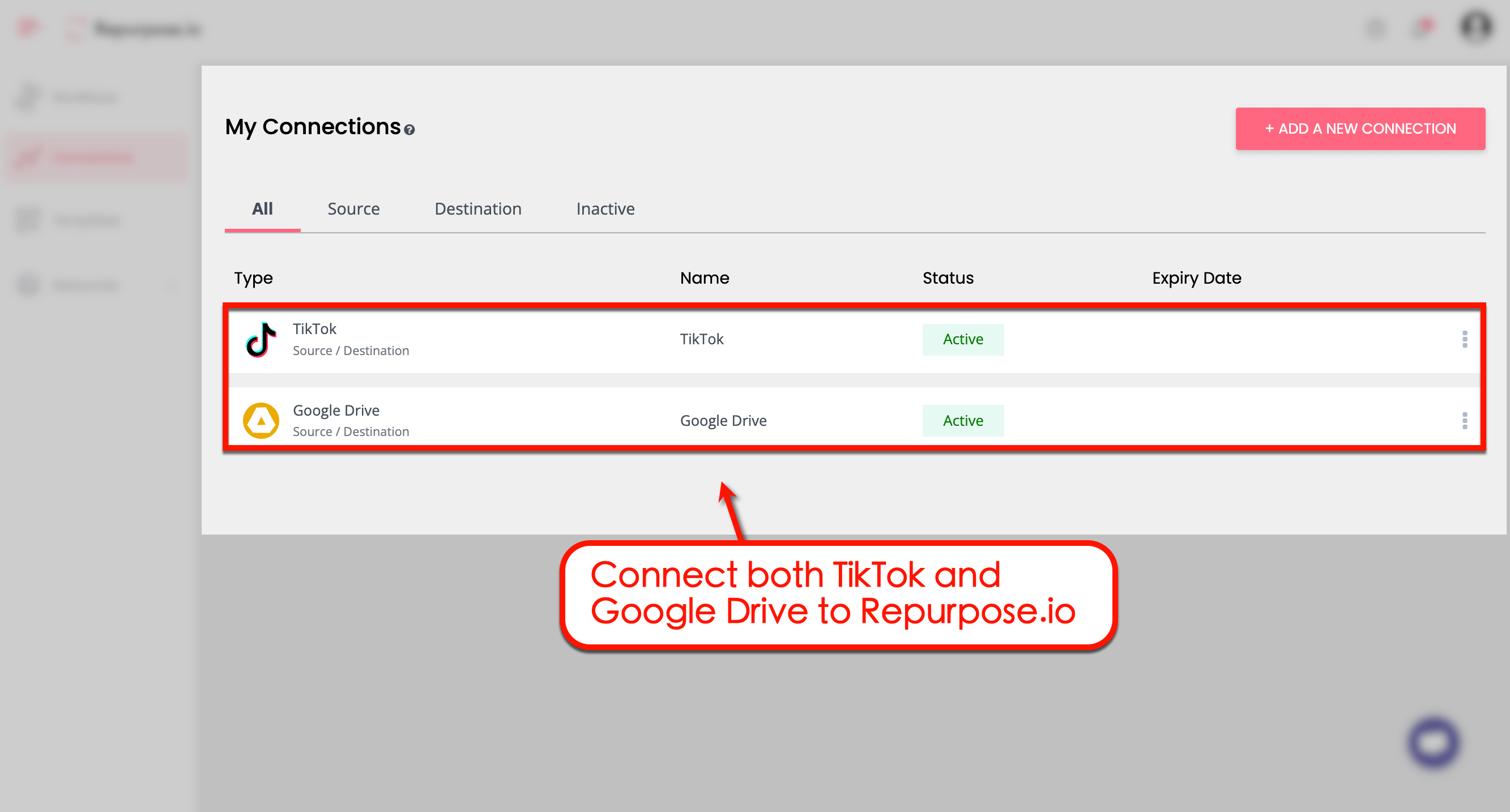 Connect both TikTok and Googe Drive to Repurpose.io 