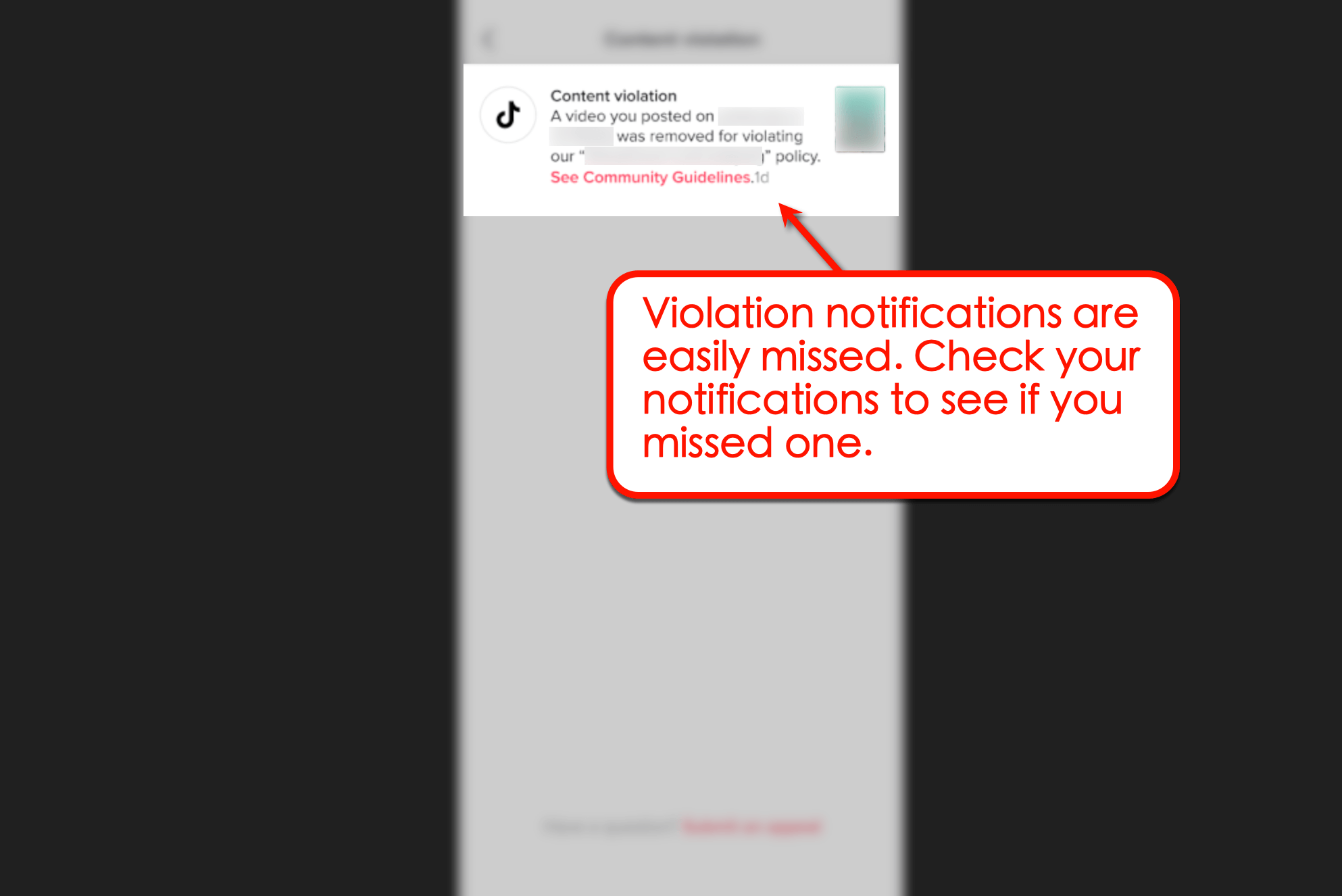 Violation notification in TikTok