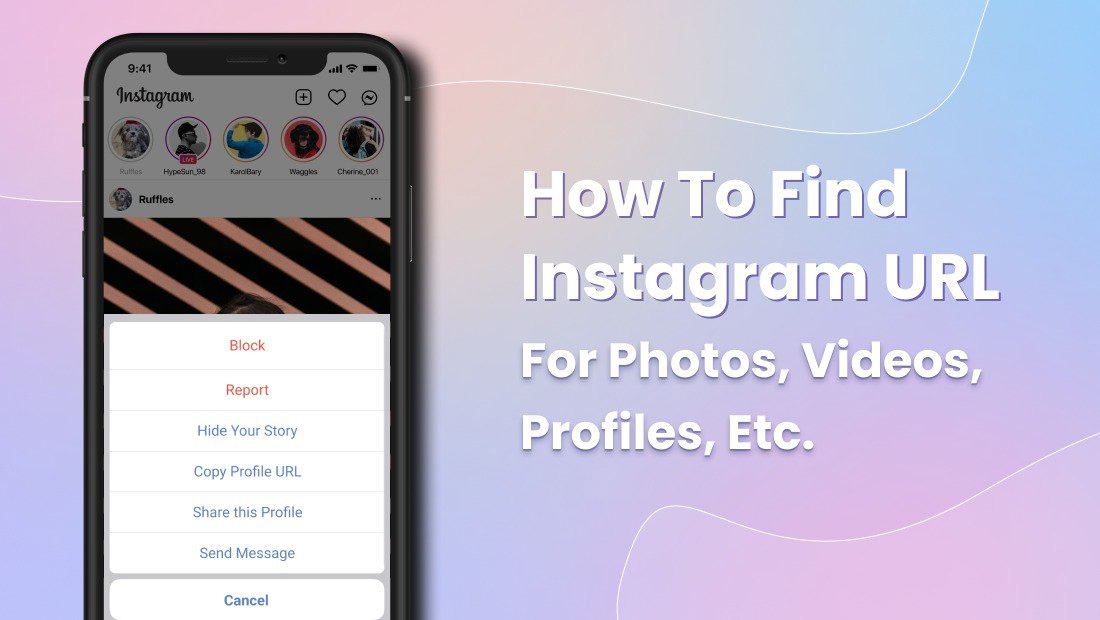 How to Find Instagram URL for Profile, Photos, Videos, etc.