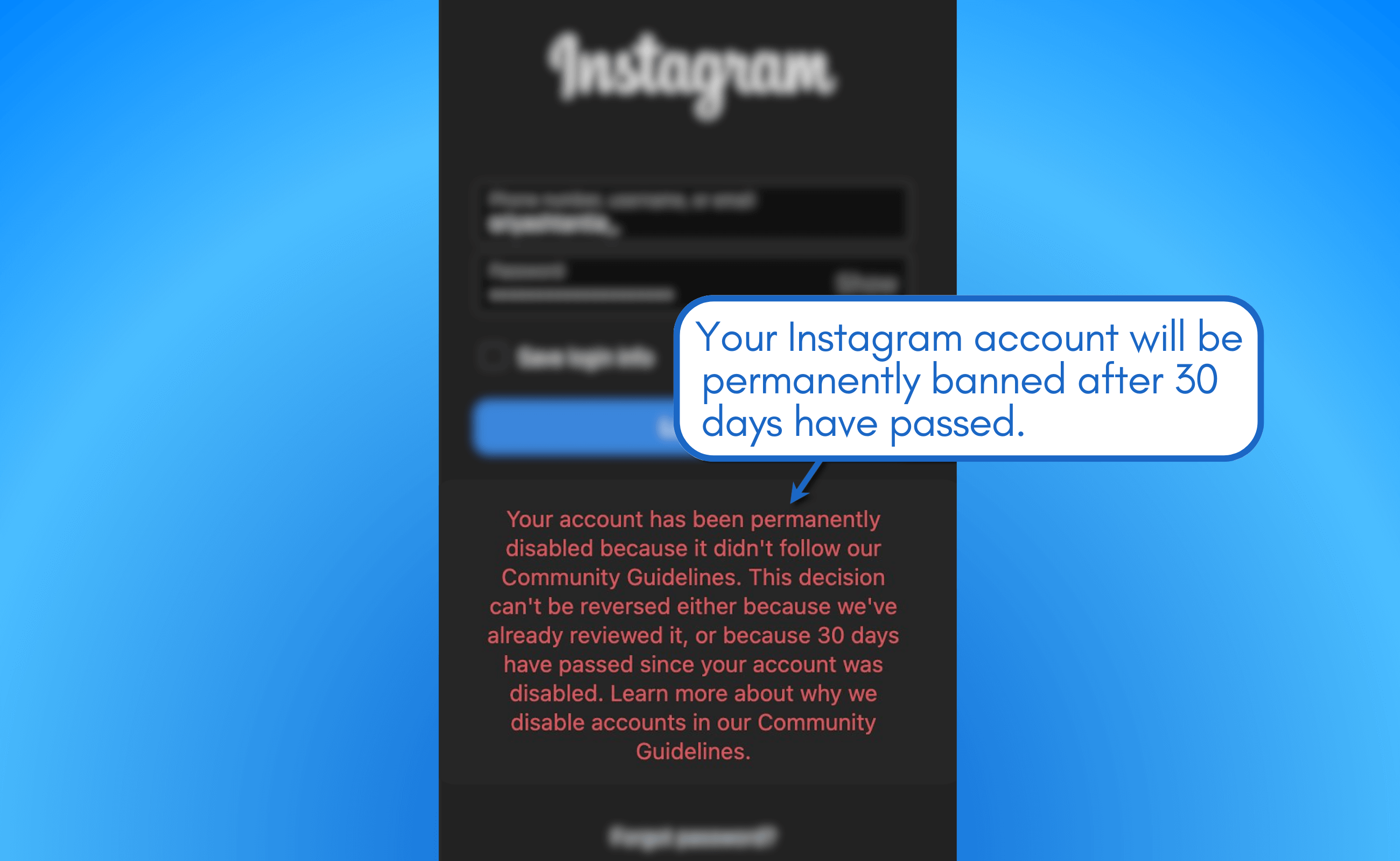 How to Use the Instagram Appeal Form for Banned Profiles Vista Social