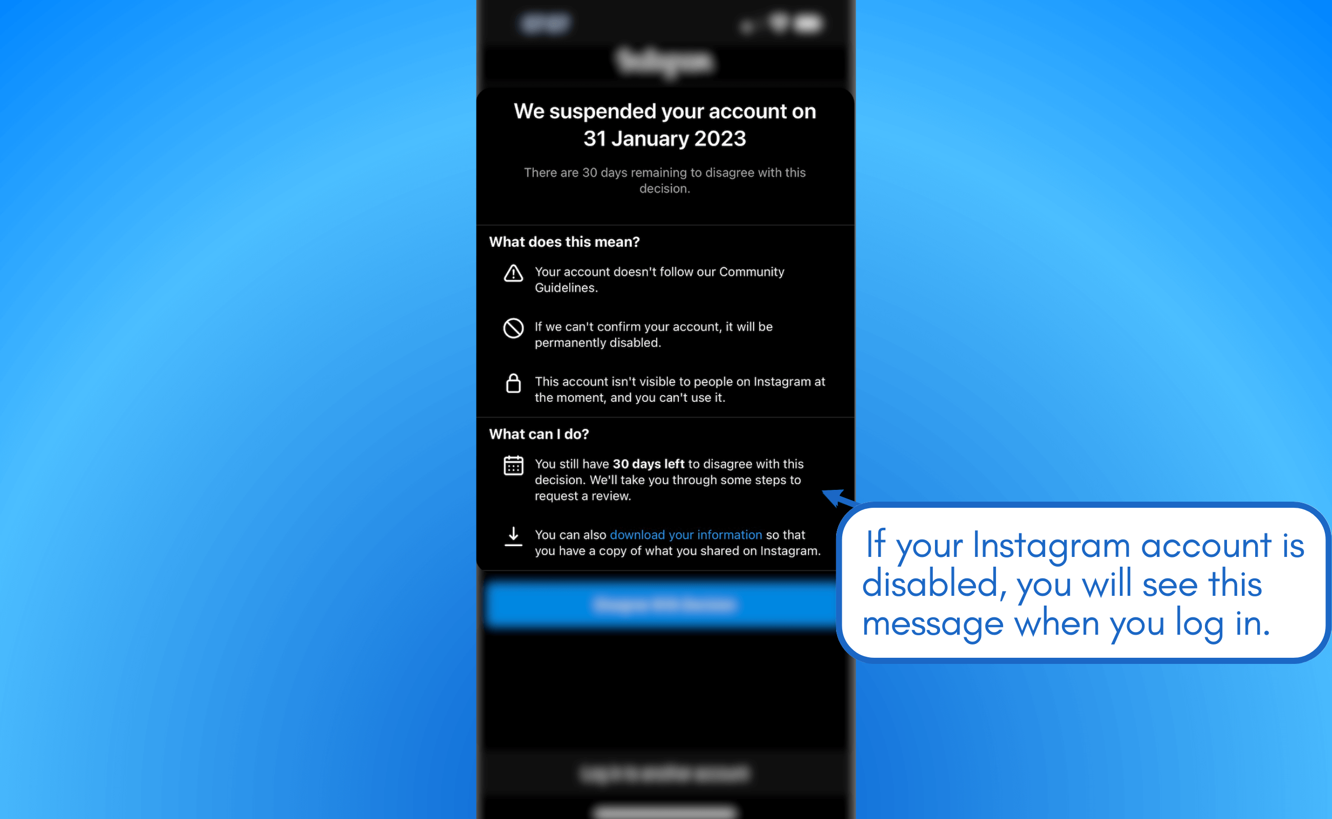 How To Use The Instagram Appeal Form For Banned Profiles Vista Social