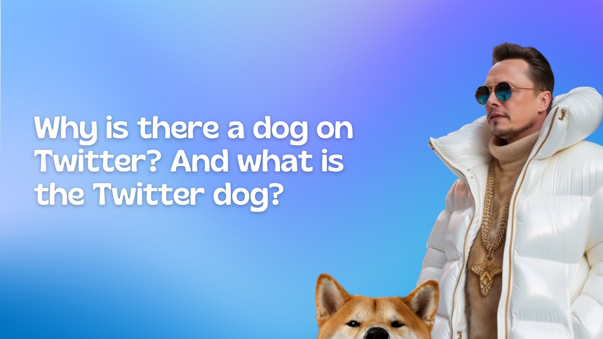 Why is there a dog on Twitter? And what is the Twitter dog?