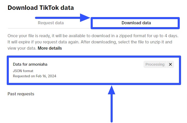 TikTok Wrapped4