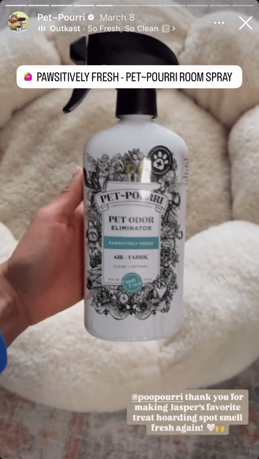 Social Media Amplification1