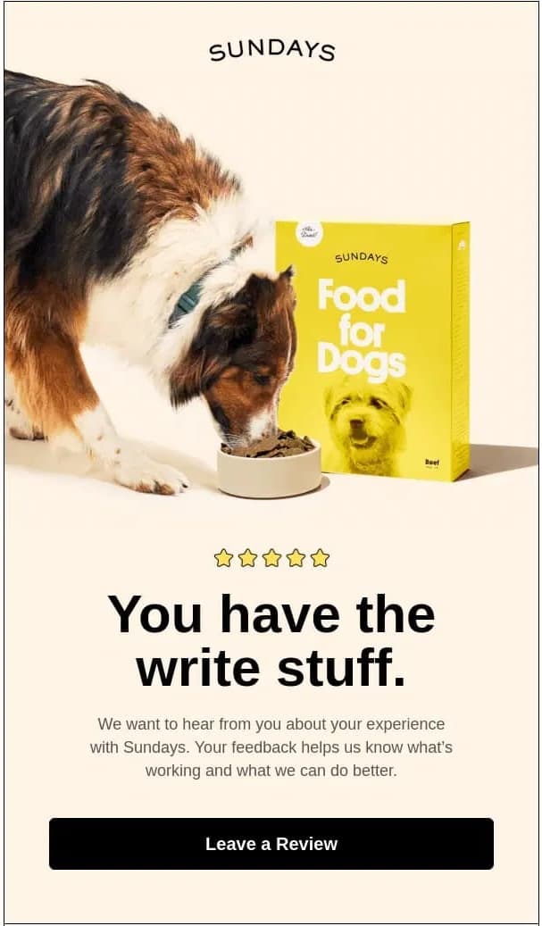 An example of an email asking for reviews.