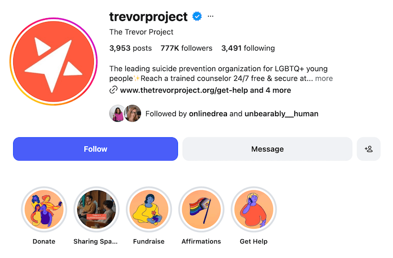 A screenshot of an Instagram bio idea from The Trevor Project.