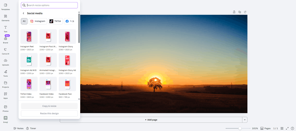 Magic Switch Social media options showing Instagram, TikTok, and Facebook resize formats.