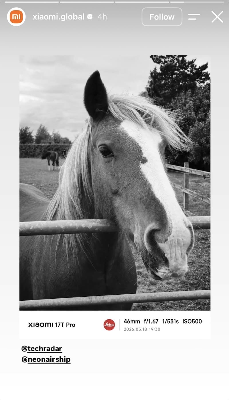 Black and white horse close-up at fence, Xiaomi 17T Pro Leica shot metadata at bottom showing 46mm f/1.67 ISO500.